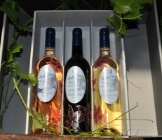 Coffret Bouteilles décorées